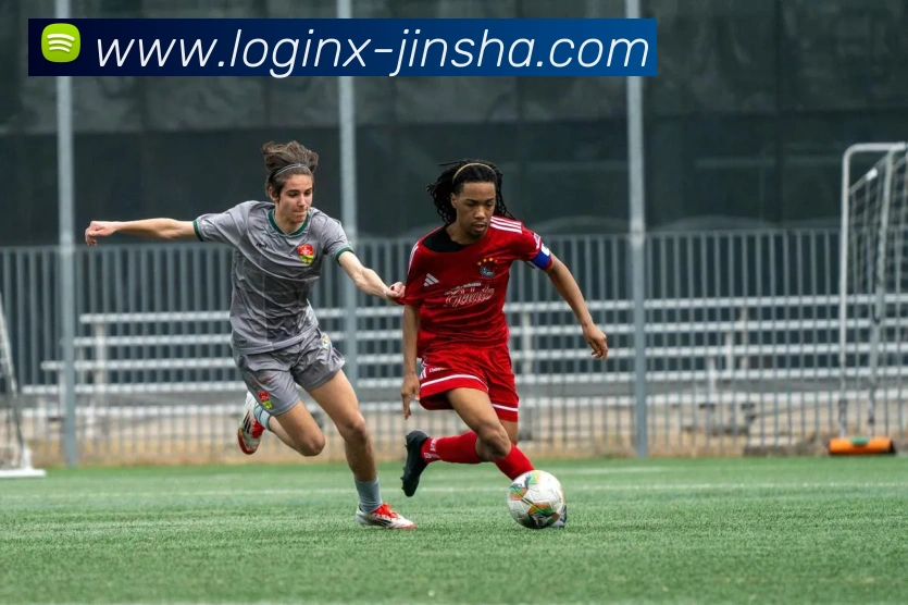 金沙娱乐平台生态图